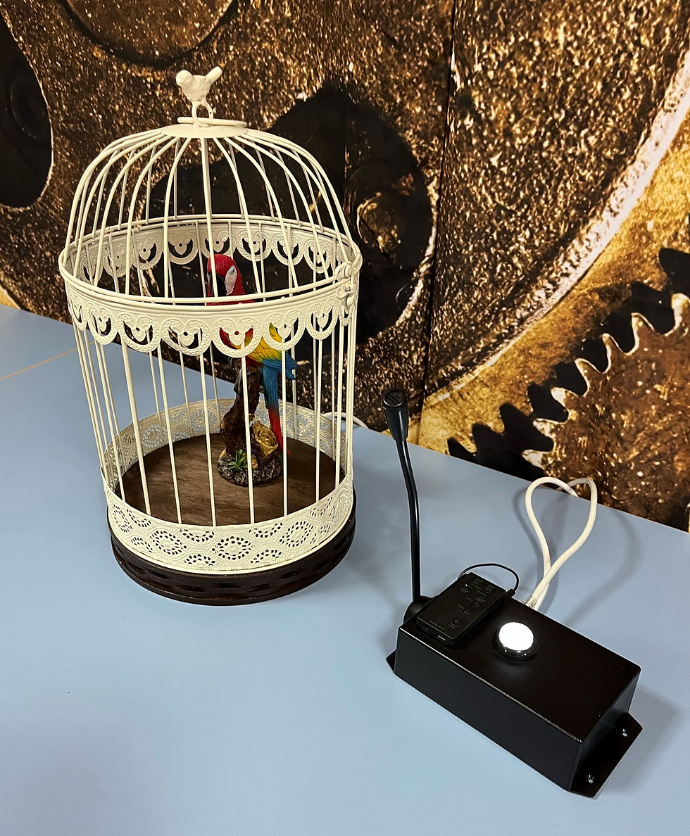 Thumbnail: Talking parrot with hints