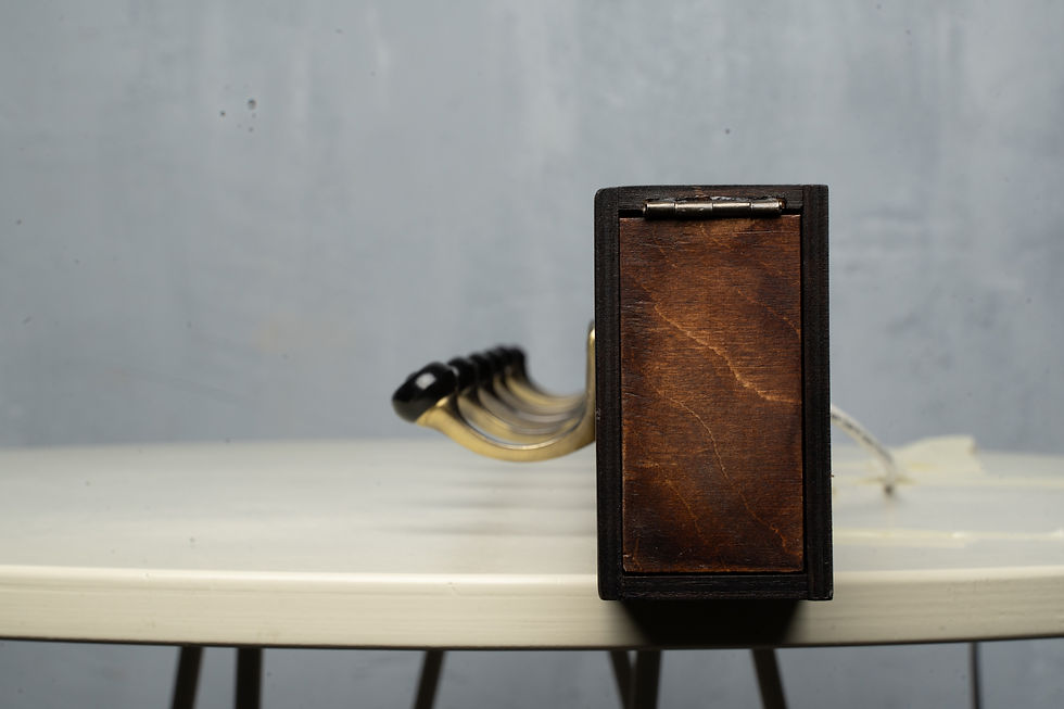 Thumbnail: decorated wooden body and six metal hooks -- special element for escape game