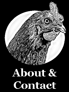 Krunchy Fried Games About Contact