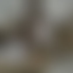 This Isn’t Just Real Estate, It’s Legacy