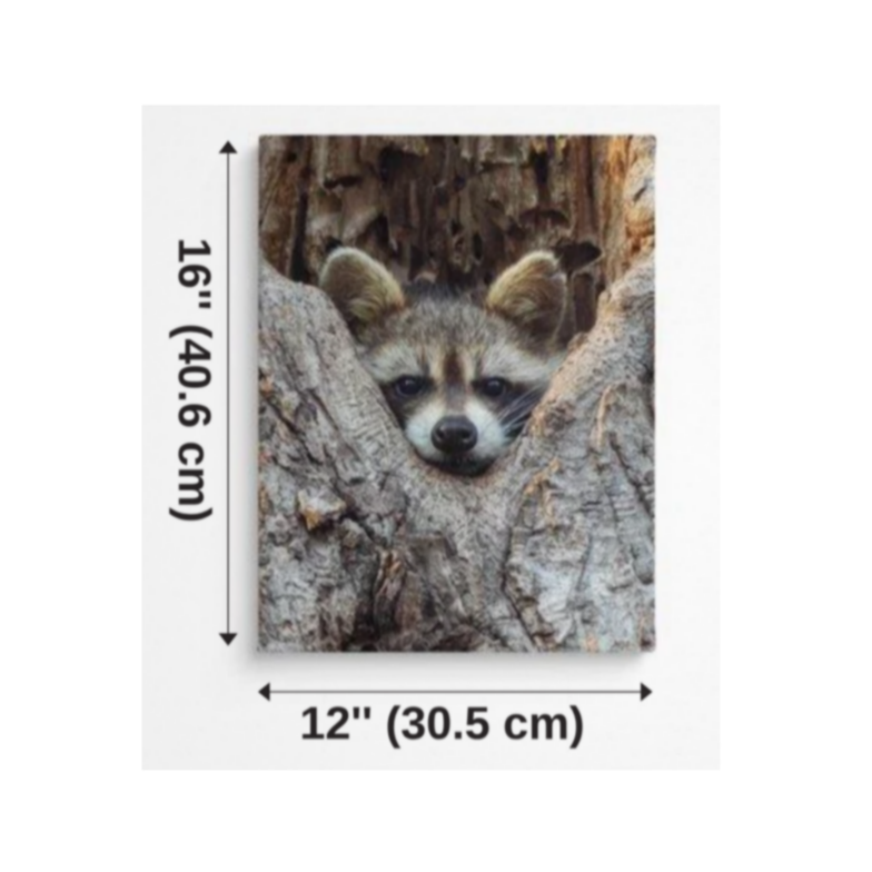 Thumbnail: Canvas Print - "Trust" (Raccoon), portrait orientation