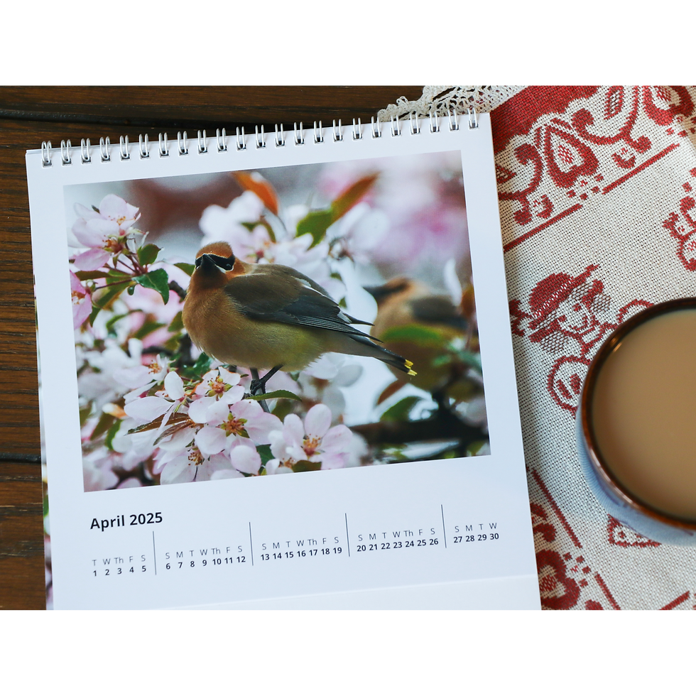 Thumbnail: 2025 Desk Calendar 20x20x10, English
