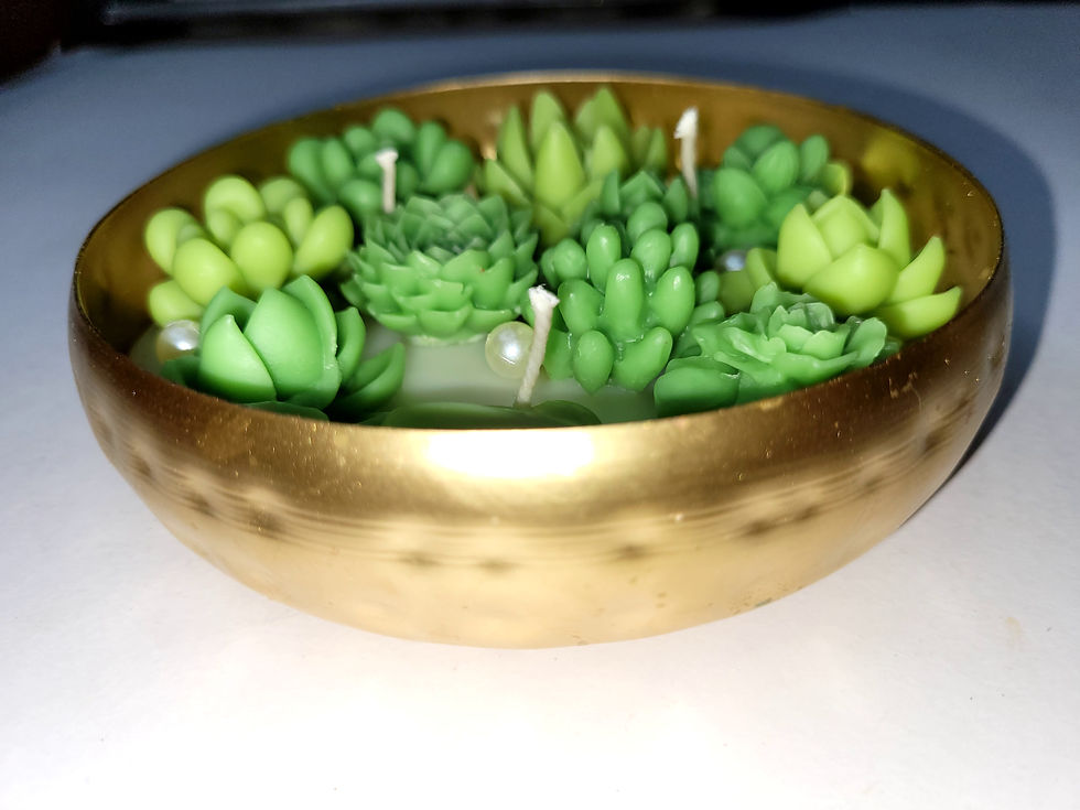 Thumbnail: Cactus in Urli Round Shape 6 inch