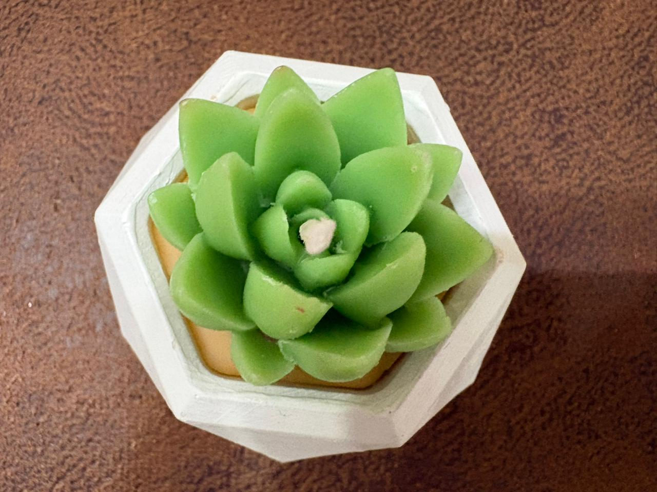 Diamond Ceramic with Cactus