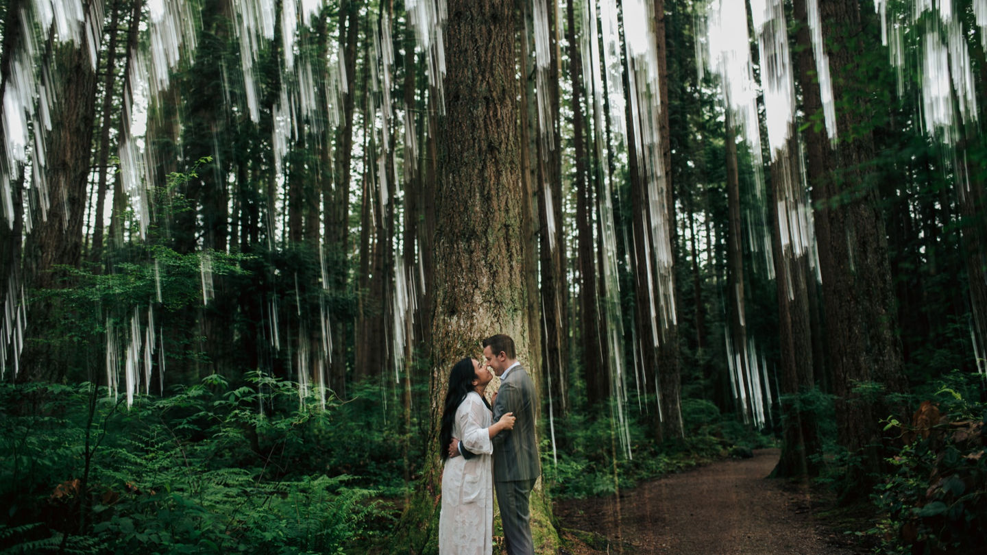 Vancouver Elopement, Wedding Photography, Local and Destination Wedding Photography