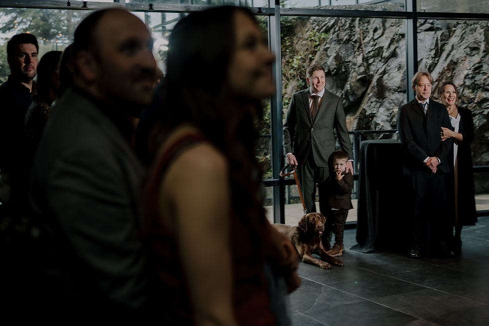 A group of people watch a man, child, and dog in formal attire by a window with a rocky background. The mood is attentive.  Vancouver Moody Romantic intimate Wedding Photographer.