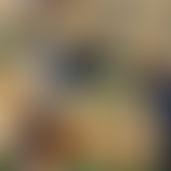 Prioritize Healthy Living: Wellness Entrepreneurs