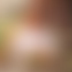 Yellow Dog Eats: Celebrated 10 Years of Culinary Creativity