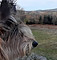 20231227_152140_edited.jpg