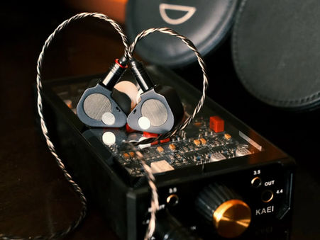 [New Stock Arrival] Nightjar Duality Dual Dynamic Driver In-ear Monitor IEM