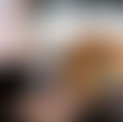 [New Arrival]  ZMF Headphone Atrium Black Persimmon Wood Limited Edition 