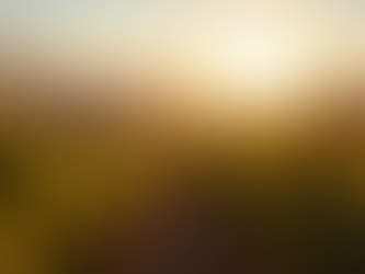 Yucaipa Valley Wine Alliance: Building a Thriving Wine Industry