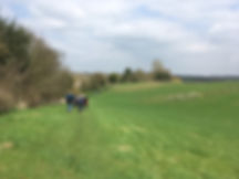 IMG_0617.jpeg