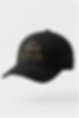 div.image-overlay (2).png