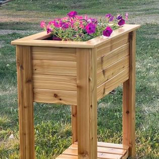 Cedar Planter
