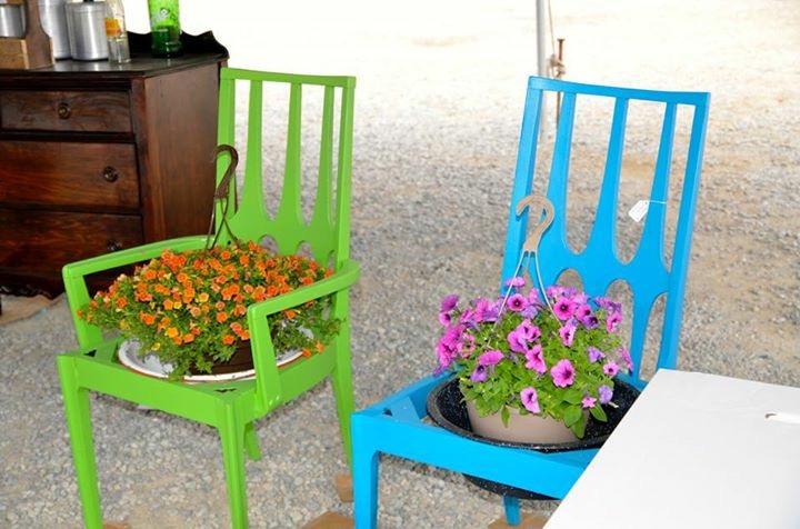 Home Perry County Fair Ky