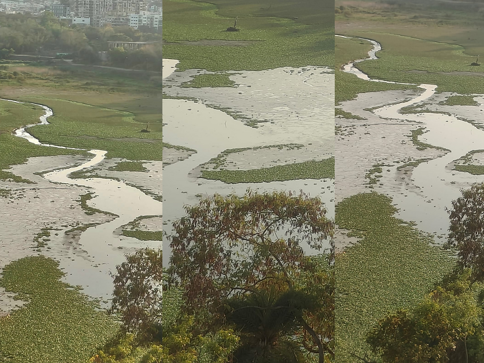 Polluted Katraj Lake Puts Laketown at Risk