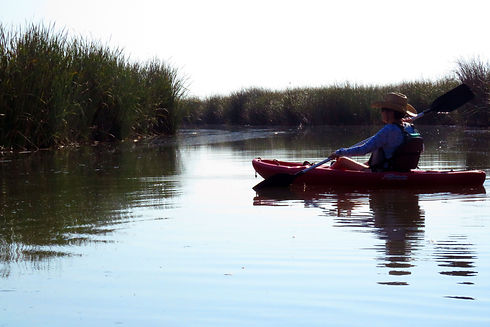 me canoe reeds.JPG