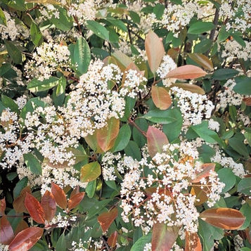 6 cualidades de la meditación que sanan nuestro niño interior