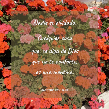La contemplación en el Maestro Eckhart