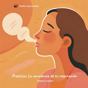Ley 2. Práctica 1: Practicar la conciencia de la respiración.