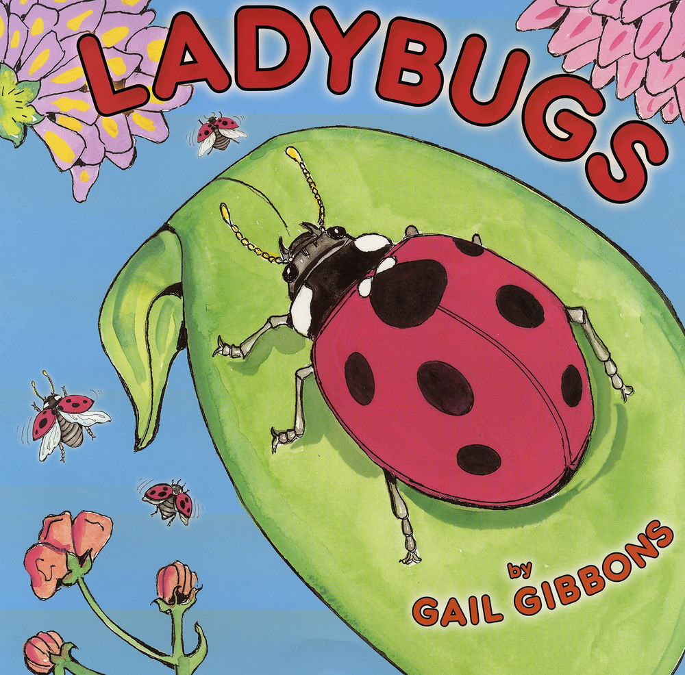 Children Books and Activities about Ladybugs