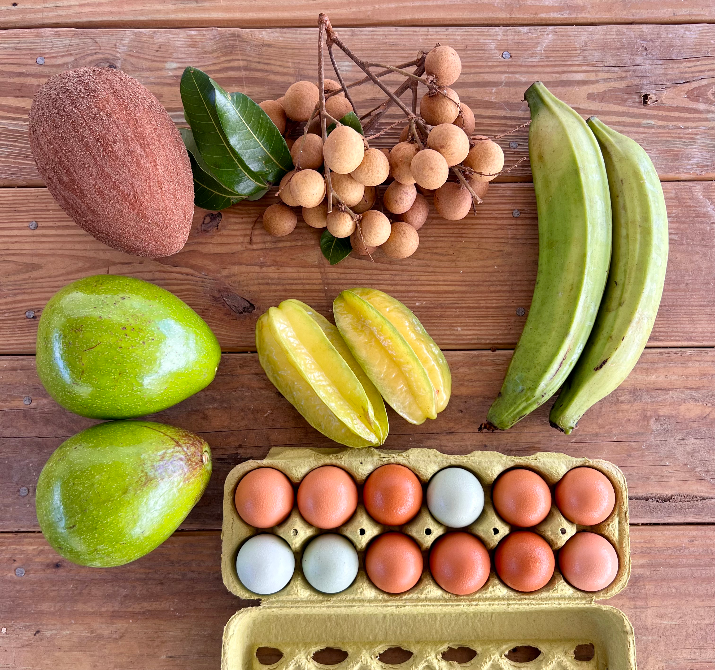 Tiny Farm Summer CSA - 10 Week Share