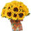 Miniatura: GIRASOLES