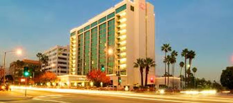 Hilton 3.jpg