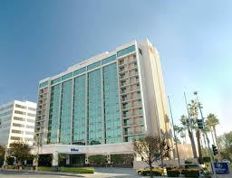 Hilton 5.jpg