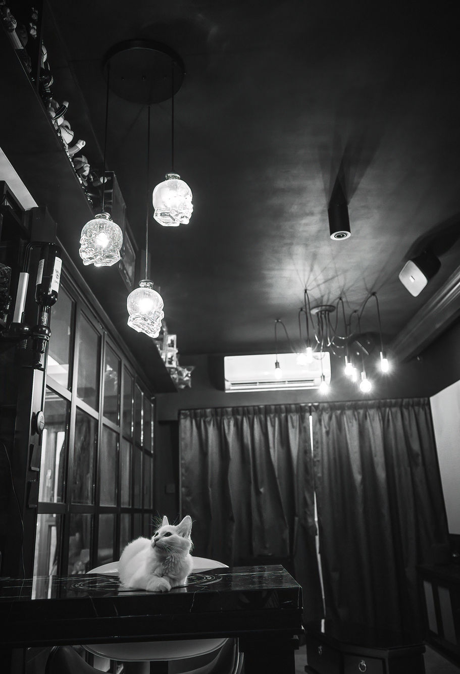 5X6A1486 1-2dn-clear.jpg