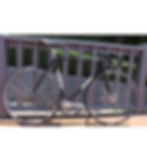 James Newhouse early frame Zeus crown unknown tubing