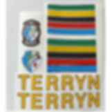 Terryn