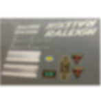 Raleigh Super Course 1973