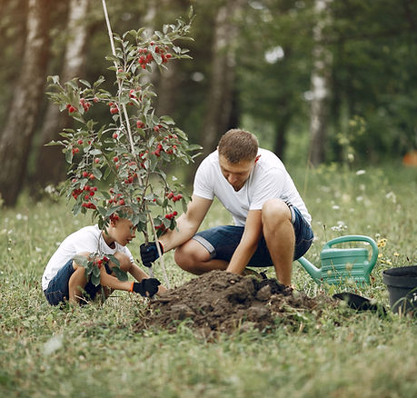 father-with-little-son-are-planting-tree-yard (1).jpg