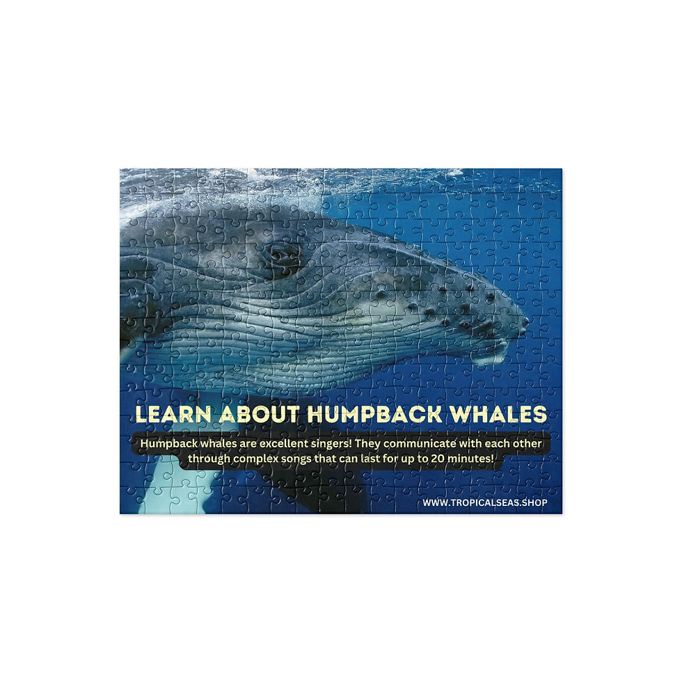 Miniatura: Humpback Whales Fun Fact Jigsaw puzzle