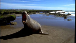 Photoadventure+3+-++37