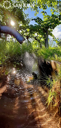 Irrigation network