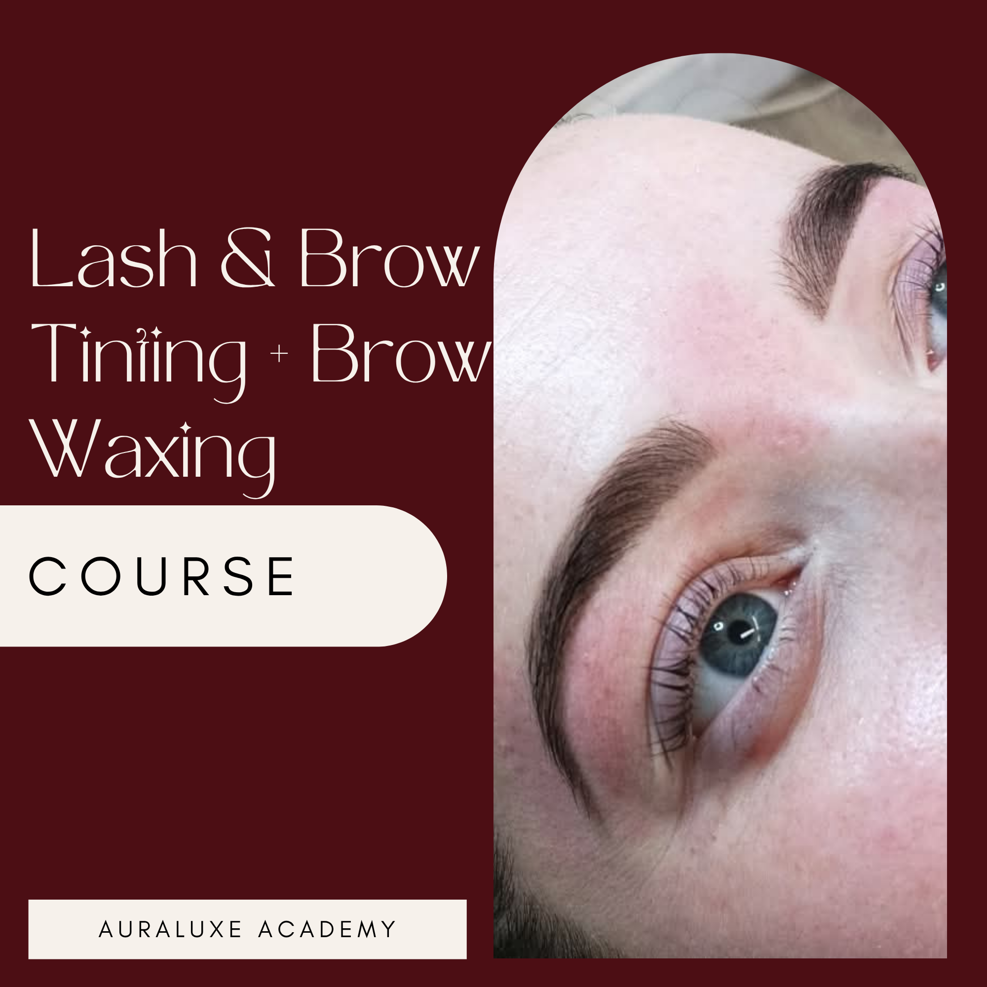 1:1 Lash & Brow Tinting + Brow Waxing Course