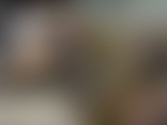 Mealworms as treats for Turtles and Tortoises