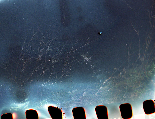 Amber Weir Photography Water Pollution Scotland 