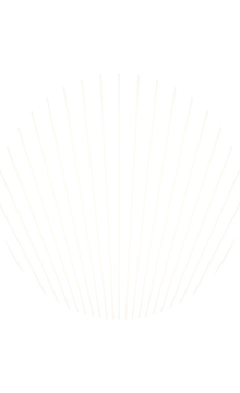 Seashell_edited_edited.png