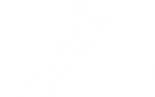 NZ EEZ.png