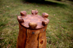 302 (13) kopie