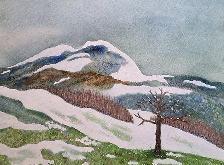 Woods-Between Winter & Spring-9x12.5watercolor.jpg
