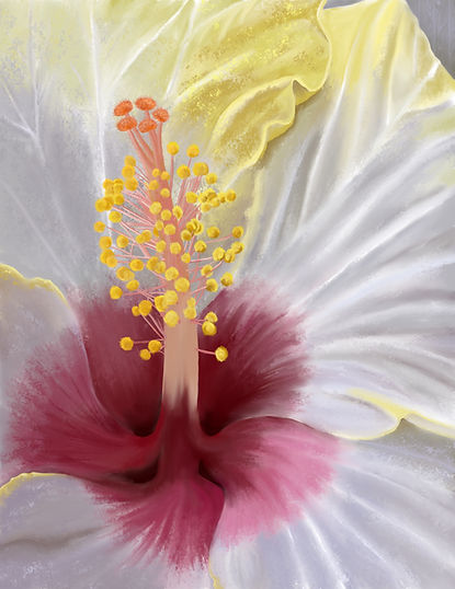 brendlin-hibiscus.jpeg