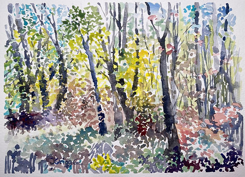 Goldberg-Beside the BlackberryTrail-8x10WC.jpeg