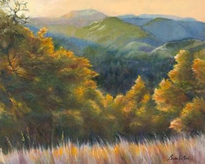 autumn-sun-at-austin-creek-reserve-Bever