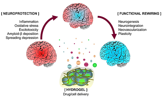 NRR-Figure 1.png