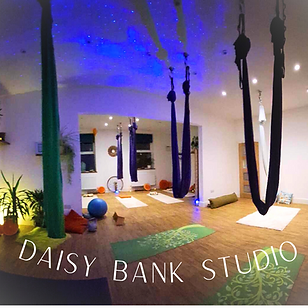 Daisy Bank Studio 2.png